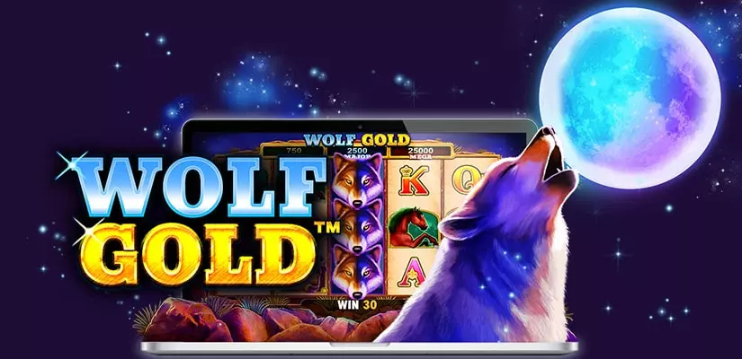 wolf gold